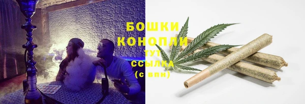 эйфоретик Анива
