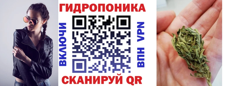 Каннабис Amnesia  MEGA как зайти  Островной 